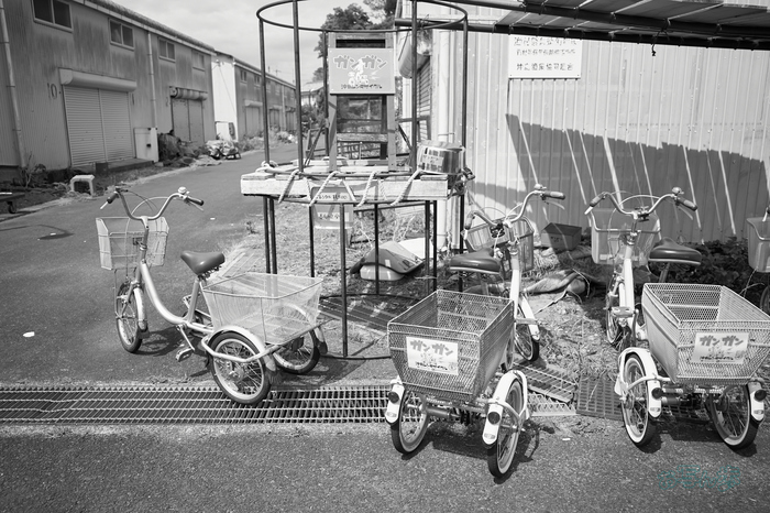 R0000694co,18 mm,F2.8,iso320,RICOH GR IV Monochrome.jpg