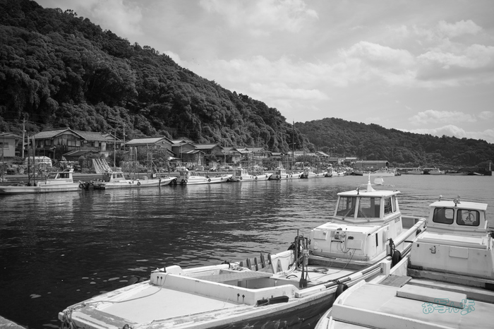 R0000695co,18 mm,F2.8,iso320,RICOH GR IV Monochrome.jpg