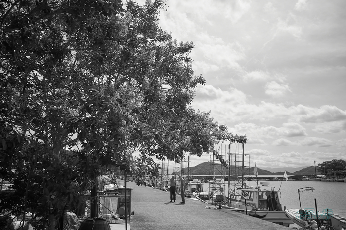 R0000698co,18 mm,F2.8,iso320,RICOH GR IV Monochrome.jpg
