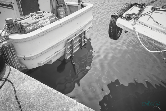 R0000704co,18 mm,F8,iso500,RICOH GR IV Monochrome.jpg