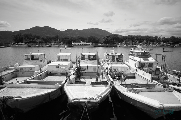 R0000709co,18 mm,F8,iso320,RICOH GR IV Monochrome.jpg