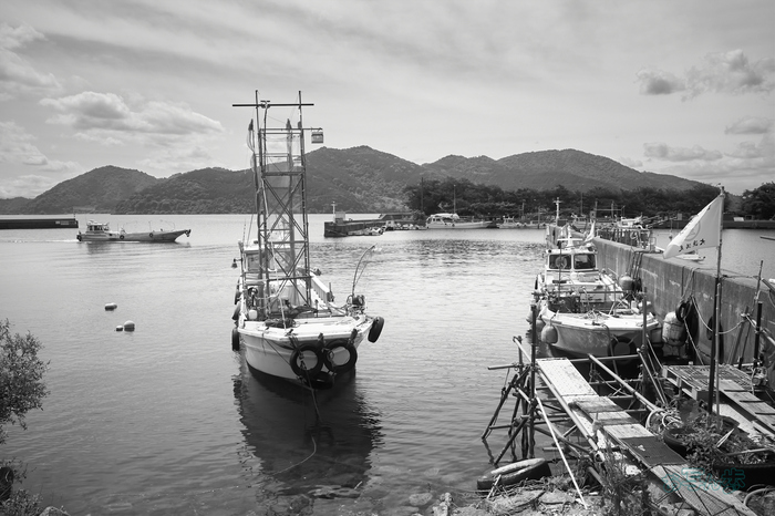R0000714co,18 mm,F8,iso320,RICOH GR IV Monochrome.jpg