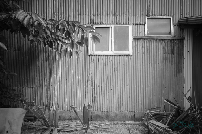 R0000715co,18 mm,F8,iso320,RICOH GR IV Monochrome.jpg