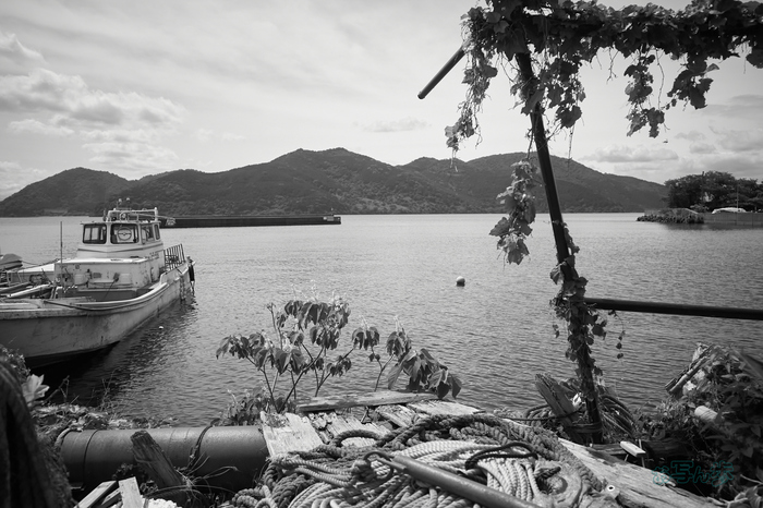 R0000725co,18 mm,F2.8,iso320,RICOH GR IV Monochrome.jpg