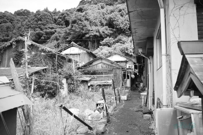 R0000737co,18 mm,F2.8,iso320,RICOH GR IV Monochrome.jpg