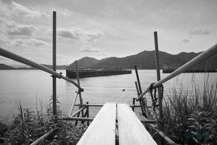 R0000739co,18 mm,F10,iso320,RICOH GR IV Monochrome.jpg
