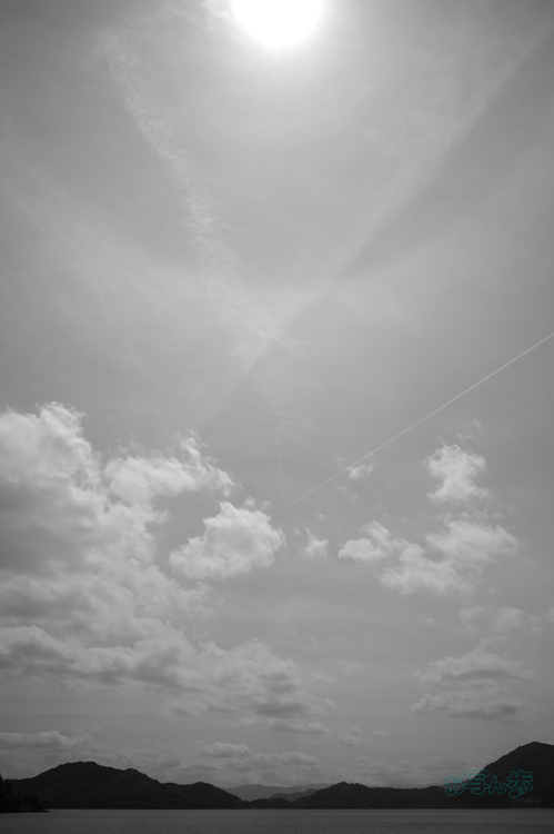 R0000748co,18 mm,F7.1,iso160,RICOH GR IV Monochrome.jpg