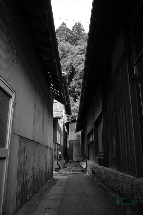 R0000771co,18 mm,F8,iso320,RICOH GR IV Monochrome.jpg