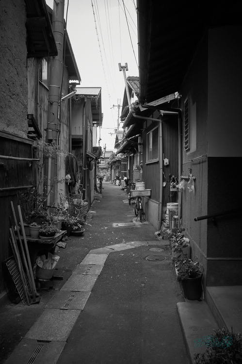 R0000772co,18 mm,F8,iso320,RICOH GR IV Monochrome_1.jpg