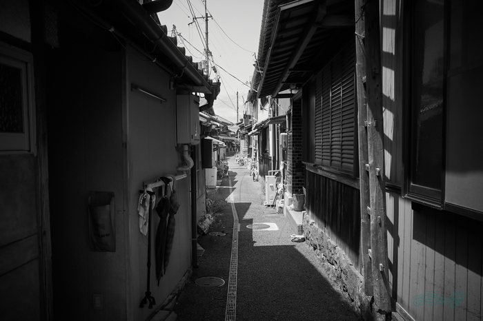 R0000780co,18 mm,F8,iso320,RICOH GR IV Monochrome.jpg
