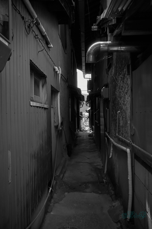 R0000785co,18 mm,F8,iso320,RICOH GR IV Monochrome.jpg