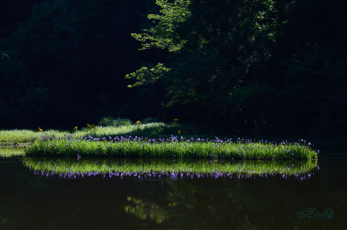 SDIM7162co,200 mm,F2.5,iso100(DNG)_1.jpg
