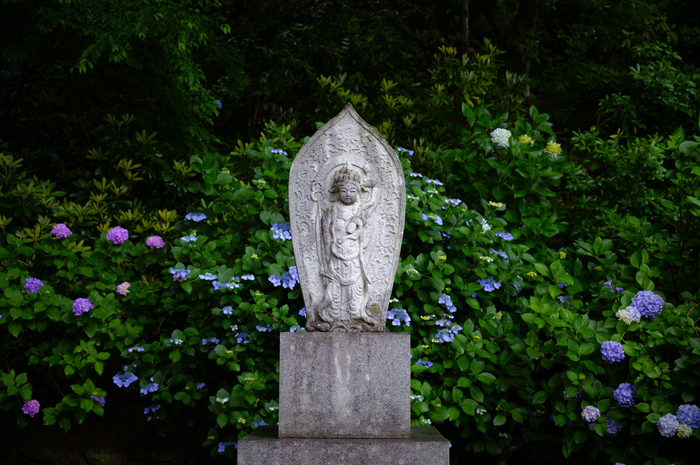 SDIM8175co,44 mm,F2.8,iso100,SIGMA fp L.jpg