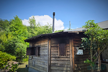 20260718_130402,5 mm,F1.8,iso25_.jpg