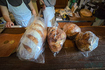 20260718_132129,2 mm,F2.2,iso1250_.jpg