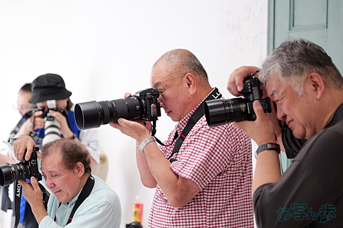 P1147782,105 mm,F4,iso1000_LUMIX S 24-105-F4                                           .jpg