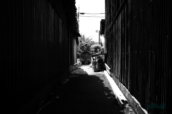 R0000800co,18 mm,F10,iso320,RICOH GR IV Monochrome.jpg