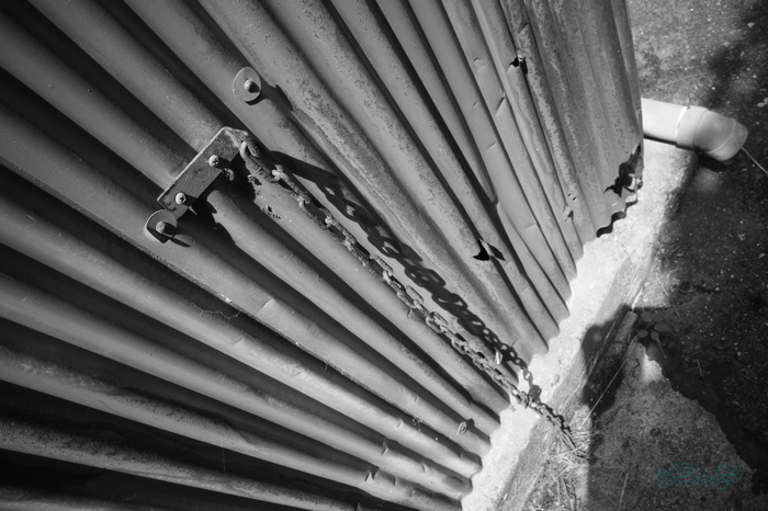 R0000801co,18 mm,F10,iso160,RICOH GR IV Monochrome.jpg