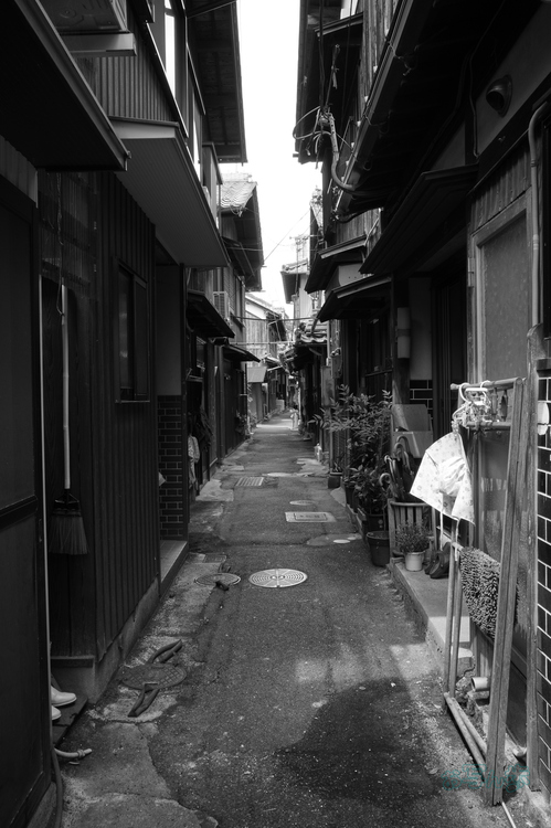 R0000802co,18 mm,F10,iso320,RICOH GR IV Monochrome.jpg