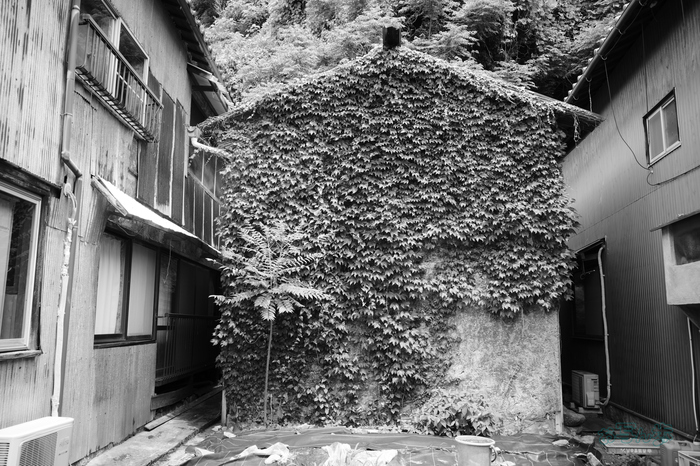 R0000810co,18 mm,F2.8,iso320,RICOH GR IV Monochrome.jpg