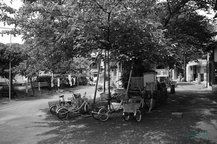 R0000815co,18 mm,F2.8,iso320,RICOH GR IV Monochrome.jpg