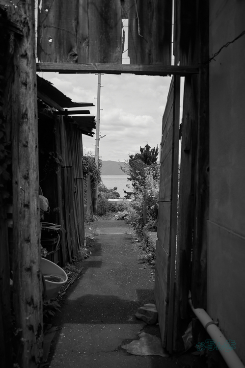 R0000835co,18 mm,F2.8,iso320,RICOH GR IV Monochrome.jpg