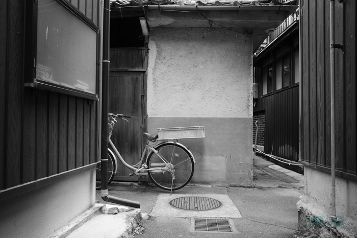 R0000844co,18 mm,F9,iso320,RICOH GR IV Monochrome.jpg
