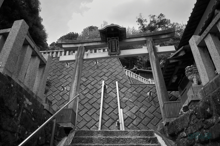 R0000850co,18 mm,F9,iso320,RICOH GR IV Monochrome.jpg