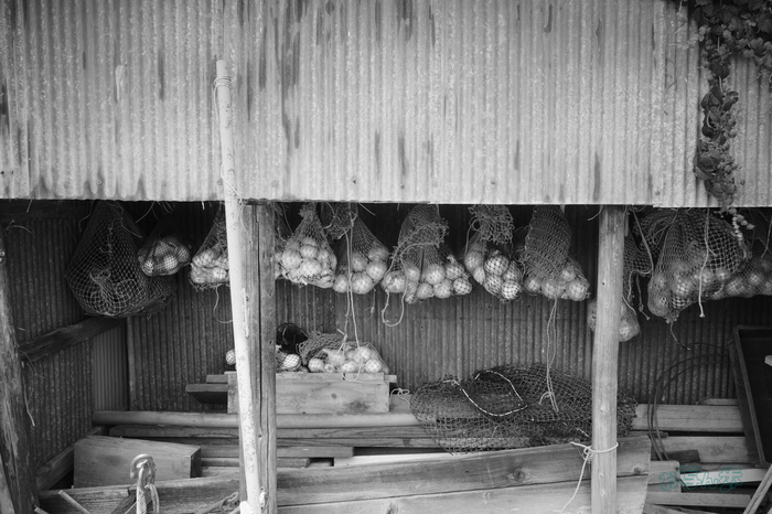 R0000857co,18 mm,F9,iso640,RICOH GR IV Monochrome.jpg