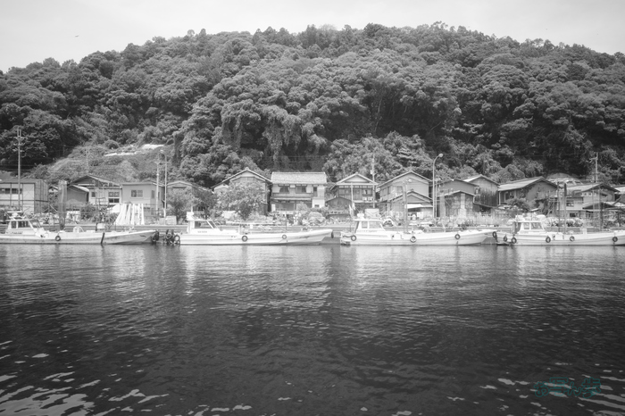 R0000863co,18 mm,F9,iso320,RICOH GR IV Monochrome.jpg