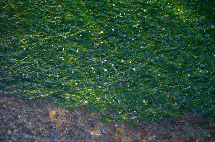 SDIM1111co,74 mm,F2.8,iso100,28-105mm F2.8 DG DN  Art 024.jpg