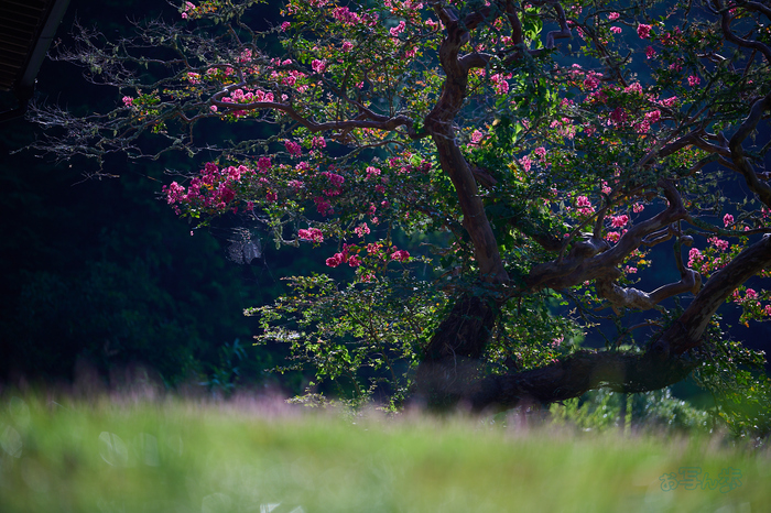 DSC_0219co,180 mm,F2.8,iso100,NIKKOR Z 70-200mm f-2.8 VR S II.jpg