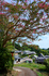 DSC_0651co,26 mm,F10,iso100,NIKKOR Z 24-105mm f-4-7.1.jpg