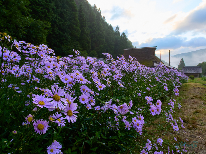 P7290200co,12 mm,F11,iso500,OM 12-45mm F4.0.jpg