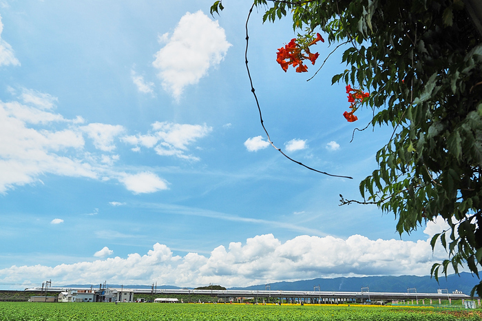 P8080339,F6.3,1-320 秒,iso200_OM 12-45mm F4.0                 .jpg