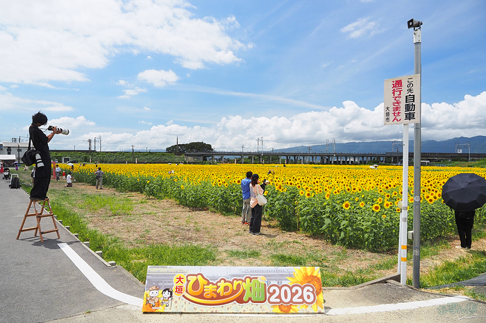 P8080346,F6.3,1-250 秒,iso200_OM 12-45mm F4.0                 .jpg
