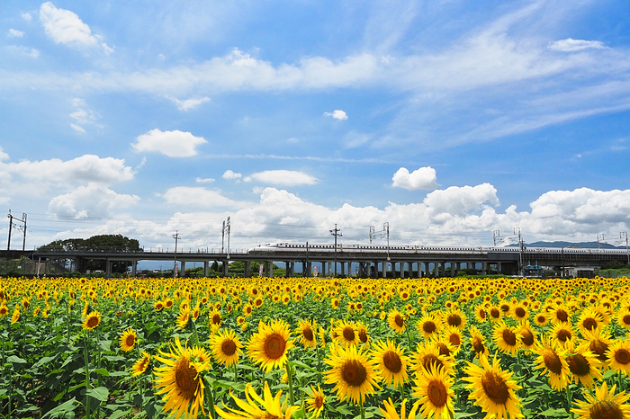 P8080457,F6.3,1-1000 秒,iso640_OM 12-45mm F4.0                 .jpg