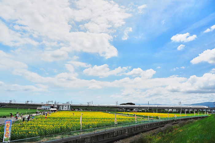 P8080470,F6.3,1-1000 秒,iso640_OM 12-45mm F4.0                 .jpg