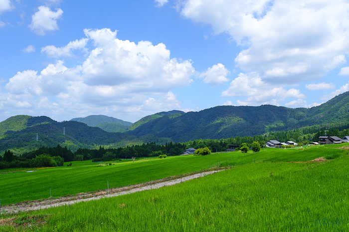 SDIM2203,F11,1-100 秒,iso100_28-105mm F2.8 DG DN  Art 024                               .jpg