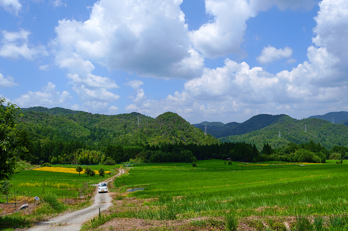 SDIM2443,F7.1,1-400 秒,iso100_28-105mm F2.8 DG DN  Art 024                               .jpg