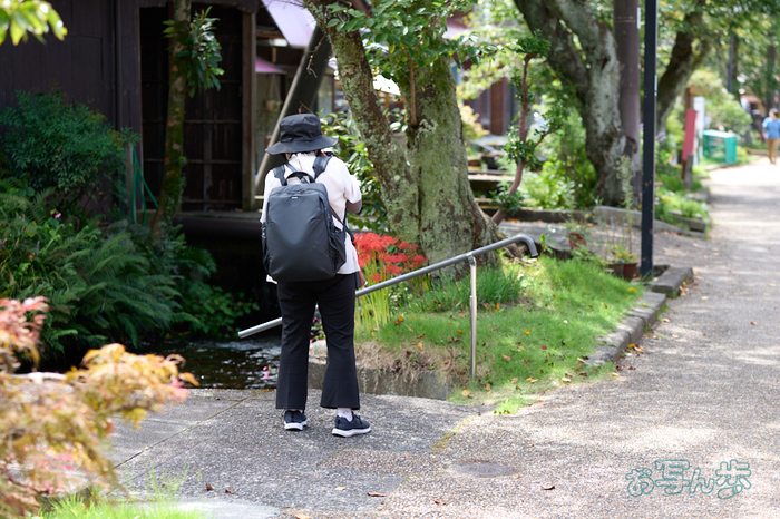 P1000120co,85 mm,F3.5,1-125 秒,iso100,LUMIX S 85-F1.8.jpg