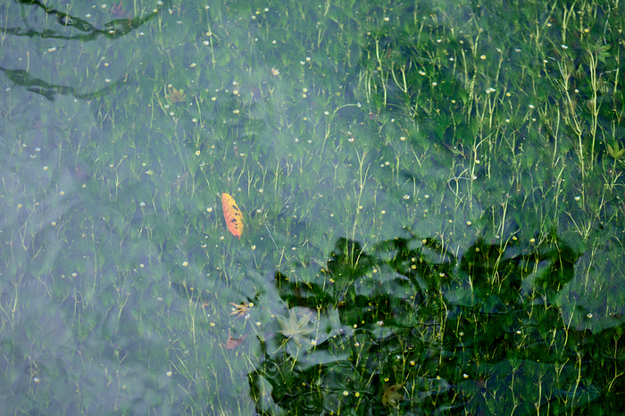 P1002395co,85 mm,F2,1-1600 秒,iso100,LUMIX S 85-F1.8_1.jpg