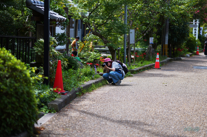 P1002449co,85 mm,F1.8,1-3200 秒,iso100,LUMIX S 85-F1.8.jpg