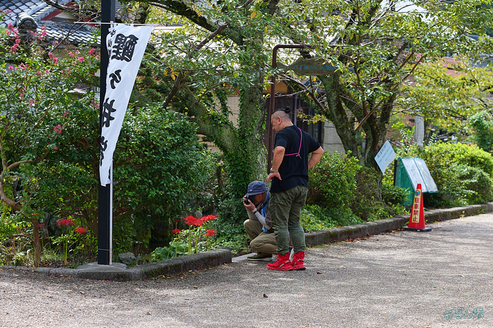 P1002488,F4,1-320 秒,iso100_LUMIX S 85-F1.8                                             .jpg
