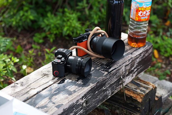 P1002491,F4,1-125 秒,iso100_LUMIX S 85-F1.8                                             .jpg