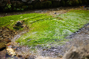 P1071706,F2,1-1000 秒,iso500_LUMIX S 40-F2                                               .jpg