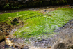 P1071706,F2,1-1000 秒,iso500_LUMIX S 40-F2                                               .jpg