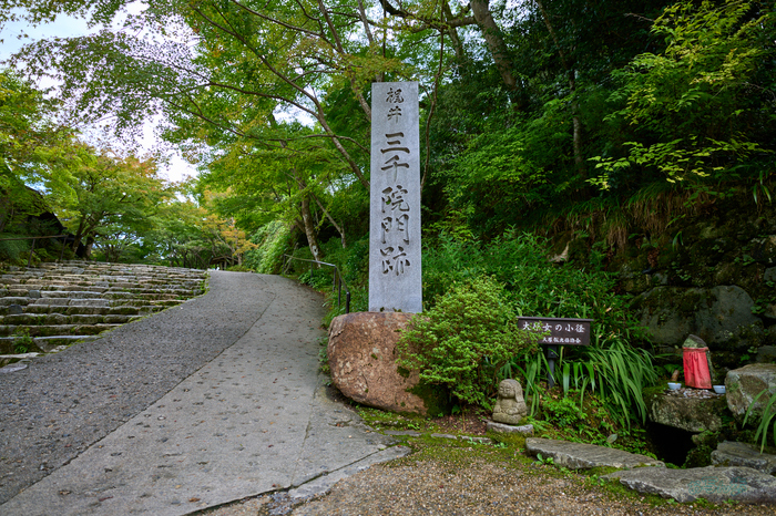 SDIM4191co,20 mm,F2.8,1-200 秒,iso100,20-60mm F2.8-4 DG  Contemporary 026.jpg