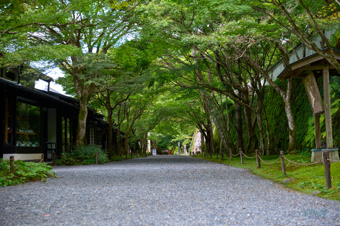 SDIM4196co,60 mm,F4,1-60 秒,iso125,20-60mm F2.8-4 DG  Contemporary 026.jpg