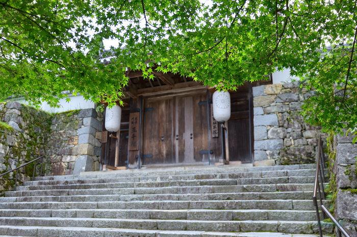SDIM4204co,30 mm,F3.5,1-160 秒,iso100,20-60mm F2.8-4 DG  Contemporary 026.jpg